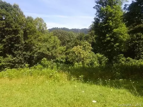 414 Piney Grove Rd, Marshall, NC 28753 photo 22