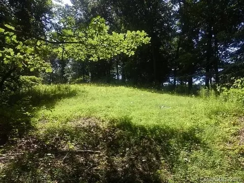 414 Piney Grove Rd, Marshall, NC 28753 photo 24