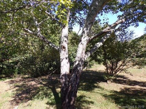 411 Thermal View Dr, Tryon, NC 28782 photo 20