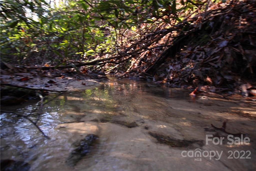 Gastons Bee Gum 19 Rd Unit 19  