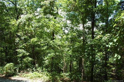 327 Summit Road, Tryon, NC 28782 photo 3