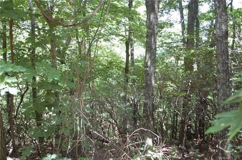 327 Summit Road, Tryon, NC 28782 photo 2