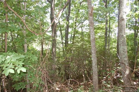 327 Summit Road, Tryon, NC 28782 photo 7