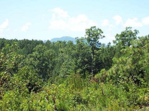 3825 Big Level Rd, Mill Spring, NC 28756 photo 8
