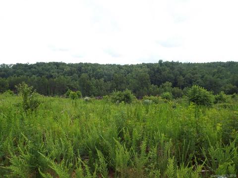3825 Big Level Rd, Mill Spring, NC 28756 photo 5