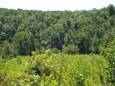 3825 Big Level Rd, Mill Spring, NC 28756 photo 9