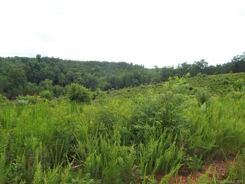 3825 Big Level Rd, Mill Spring, NC 28756 photo 6