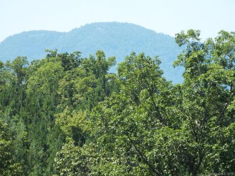 3825 Big Level Rd, Mill Spring, NC 28756 photo 1