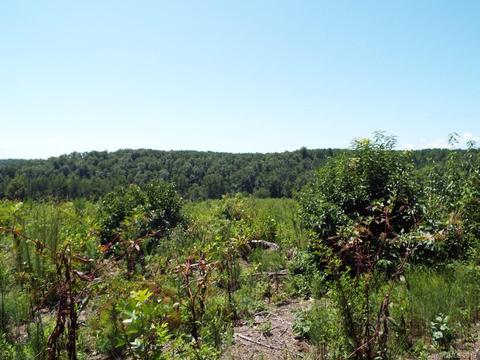3825 Big Level Rd, Mill Spring, NC 28756 photo 11