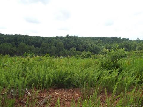 3825 Big Level Rd, Mill Spring, NC 28756 photo 10