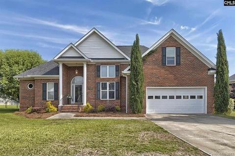 304 Whiteplains Pl, Gilbert, SC 29054 photo 1