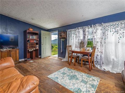 1237 Thompson Cove Rd, Clyde, NC 28721 photo 7