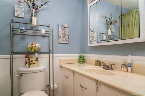 264 Catatoga Path, Brevard, NC 28712 photo 17