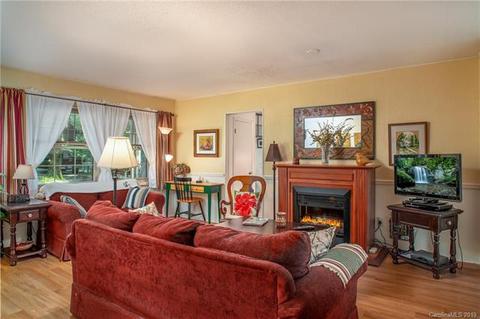 264 Catatoga Path, Brevard, NC 28712 photo 8