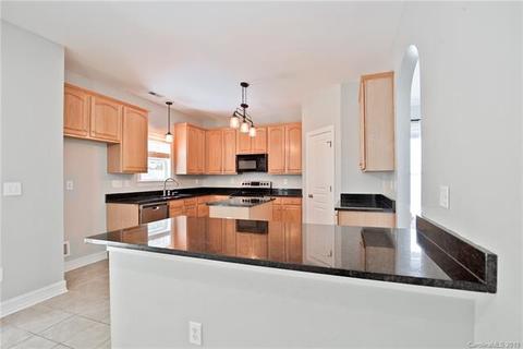 20218 Colony Point Ln, Cornelius, NC 28031 photo 10