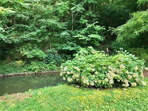 114 Riverview Rd, Tryon, NC 28782 photo 31