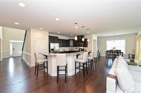 18805 Avery Park Dr, Cornelius, NC 28031 photo 10