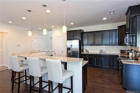 18805 Avery Park Dr, Cornelius, NC 28031 photo 13