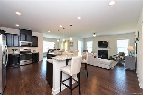 18805 Avery Park Dr, Cornelius, NC 28031 photo 9