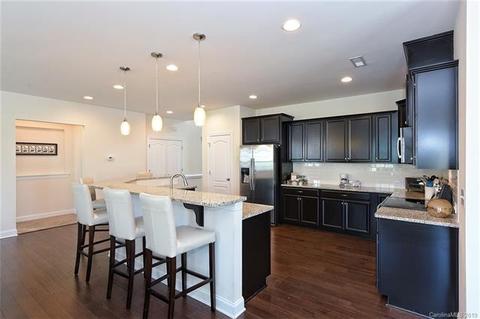 18805 Avery Park Dr, Cornelius, NC 28031 photo 12