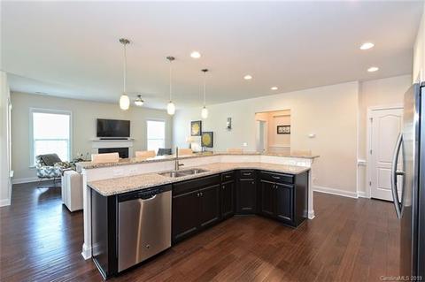 18805 Avery Park Dr, Cornelius, NC 28031 photo 14
