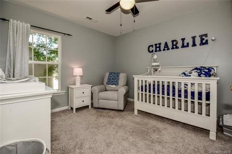 15342 Crossing Gate Dr, Cornelius, NC 28031 photo 14