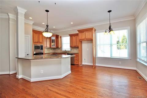 12515 Robert Walker Dr, Davidson, NC 28036 photo 10
