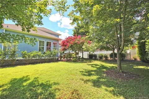 12515 Robert Walker Dr, Davidson, NC 28036 photo 34