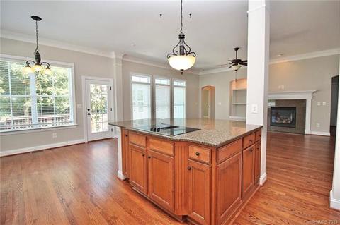 12515 Robert Walker Dr, Davidson, NC 28036 photo 13