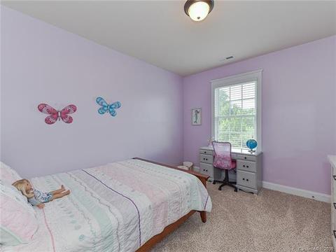 313 Olmstead St, Fort Mill, SC 29708 photo 32