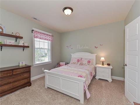 313 Olmstead St, Fort Mill, SC 29708 photo 33