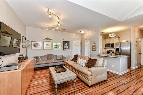 18711 Ruffner Dr #3A, Cornelius, NC 28031 photo 10