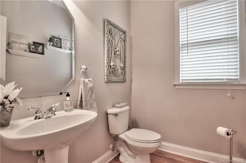 10229 Treetop Ln, Cornelius, NC 28031 photo 19