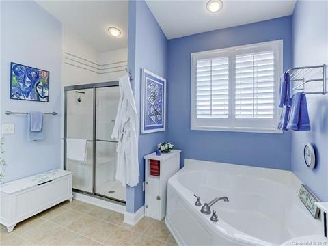 878 Platinum Dr, Fort Mill, SC 29708 photo 41