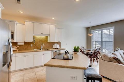 209 Caldwell Ln, Davidson, NC 28036 photo 9