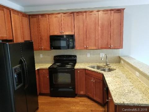 738 Cotton Gin Aly, Davidson, NC 28036 photo 2