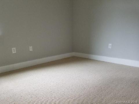 738 Cotton Gin Aly, Davidson, NC 28036 photo 8