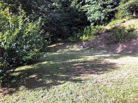43 Willdee Way, Sylva, NC 28779 photo 17