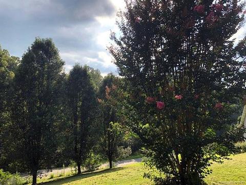 43 Willdee Way, Sylva, NC 28779 photo 14