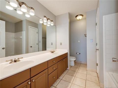 18657 Vineyard Point Ln, Cornelius, NC 28031 photo 17