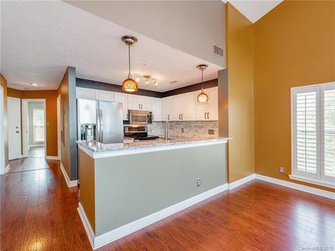 18657 Vineyard Point Ln, Cornelius, NC 28031 photo 10