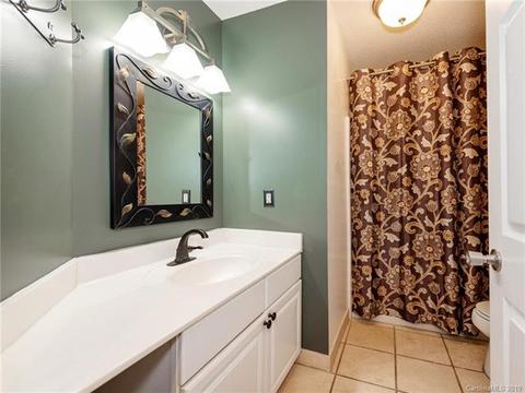18657 Vineyard Point Ln, Cornelius, NC 28031 photo 23