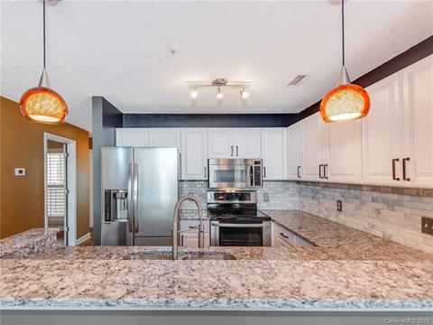 18657 Vineyard Point Ln, Cornelius, NC 28031 photo 12