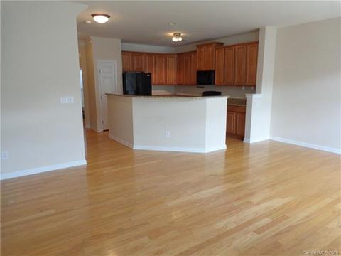 8340 Viewpoint Ln, Cornelius, NC 28031 photo 7