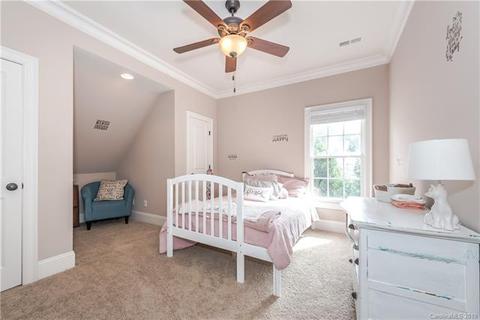 10101 Squires Way, Cornelius, NC 28031 photo 31