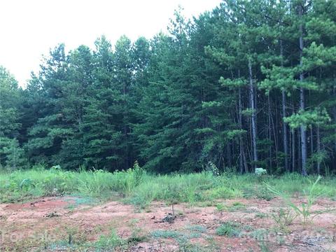 184 Pea Ridge Rd, Mill Spring, NC 28756 photo 1