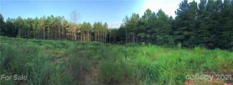 184 Pea Ridge Rd, Mill Spring, NC 28756 photo 7