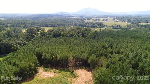 184 Pea Ridge Rd, Mill Spring, NC 28756 photo 11