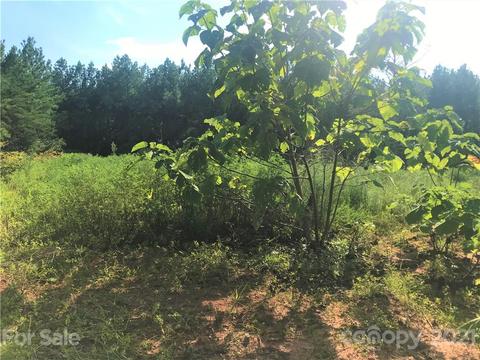 184 Pea Ridge Rd, Mill Spring, NC 28756 photo 3