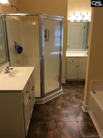 231 Cirrus Ln, Gilbert, SC 29054 photo 18